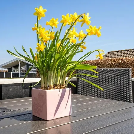 Cozy In With Sauna * Haderslev