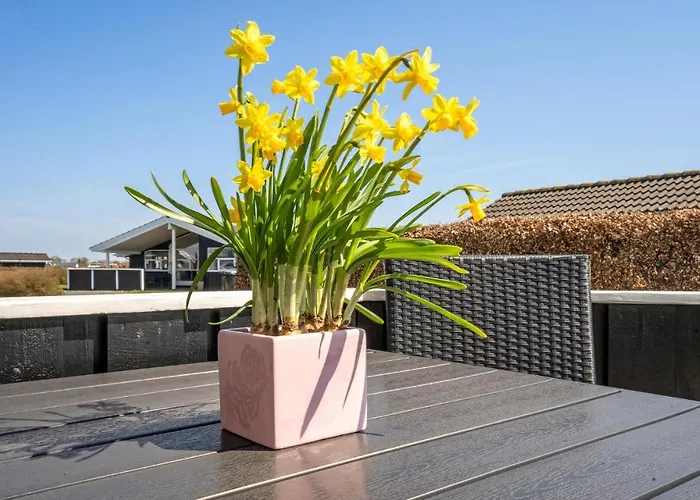 Cozy In With Sauna * Haderslev